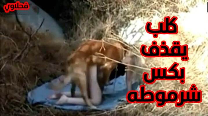 كلب يقذف بكس شرموطه مقاطع نيك بشر من كلب سكس حيوانات