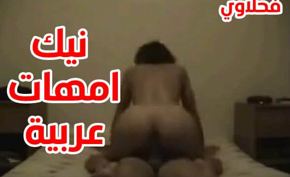 نيك امهات عربية ام بيضه تتناك في كسها الوردي سكس مصري