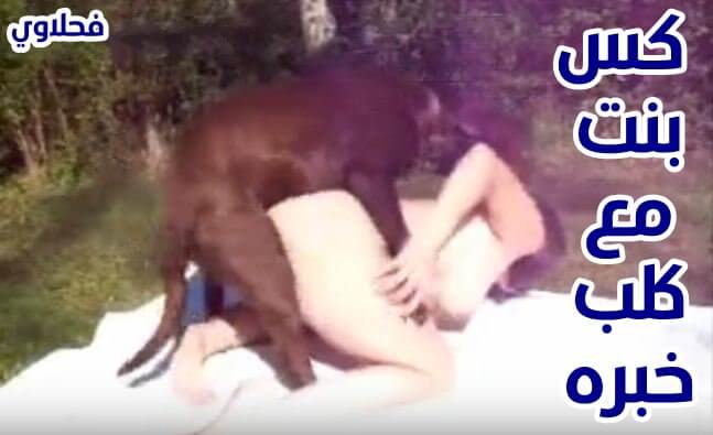 نيك في كس بنت مع كلب خبره في الجنس سكس حيوانات