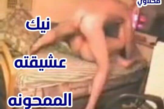 سكس مصرية ممحونه تتناك من عشيقها فشخها نيك عنيف جنس مصري