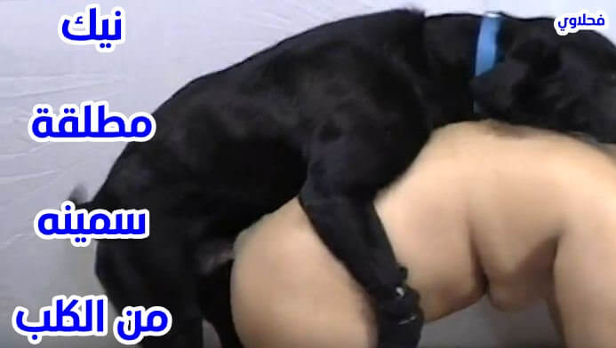 فيلم نيك كلابي ينيك مطلقة هايجه جدا فديو سكس حيوانات