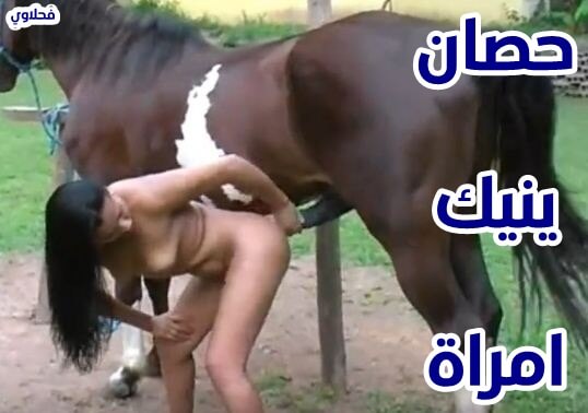 حصان زبه ضخم ينيك امراة ويدمر كسها جنس حيوانات