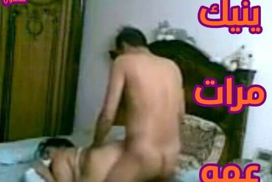 مرات عمه الشرموطه محرومه مع فحلها النياك سكس مصري